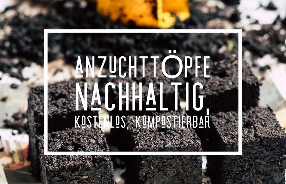 Anzuchttöpfe – nachhaltig, kostenlos und kompostierbar