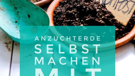 Torffreie Anzuchterde selbst machen